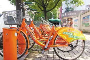 台州3000辆新公共自行车陆续投放使用