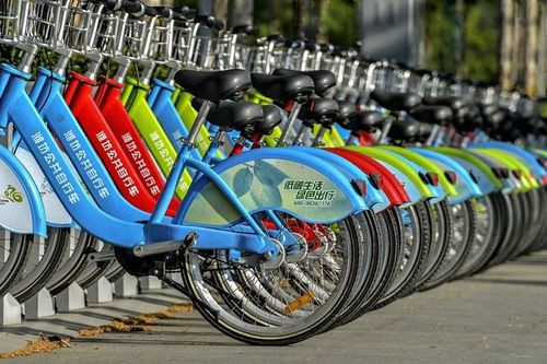 潍坊人 这些公共自行车站点将暂停使用