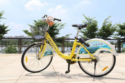 好消息 平湖城区这些小区 单位 学校 门口新增公共自行车站点