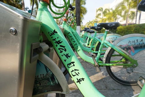 景洪市公共自行车和共享自行车将终止运营 请速速办理销户退款