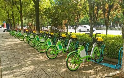 注意!岳阳公共自行车将退役!另城区将新增共享电动、助力车投放点!