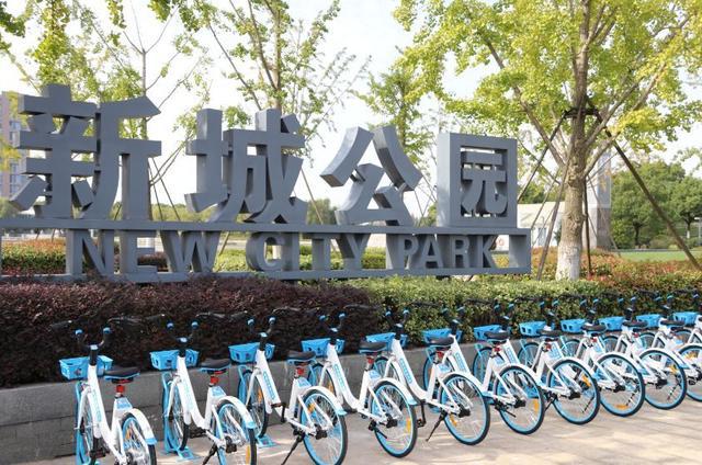 崇明区骑行生态变迁:从共享单车兴衰到公共自行车新图景