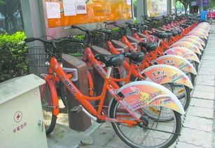 公共自行车好借难还 再借心悬
