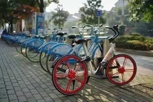 重大变化 乱骑共享单车可能影响买房