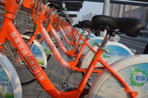今起,张家窝公共自行车新增15站点试运营,新投放350辆车