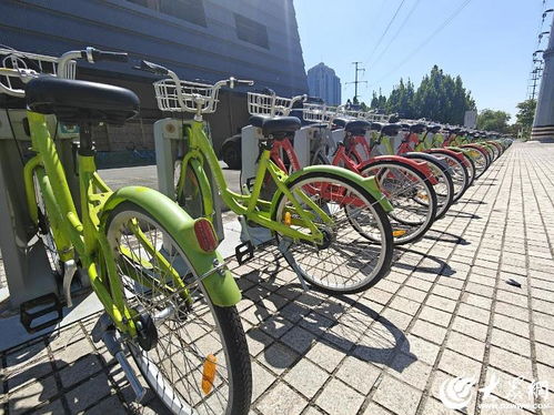 潍坊公共自行车服务市民出行超4亿人次