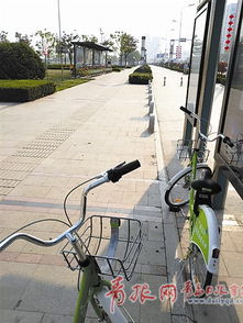 公共自行车pk共享单车 青岛人你要骑哪种