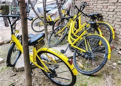 中山公共自行车投放市场6年服务3100万人次,共享年代,它将何去何从?