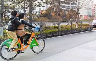 牛 太原公共自行车每天骑行距离相当于绕地球30圈