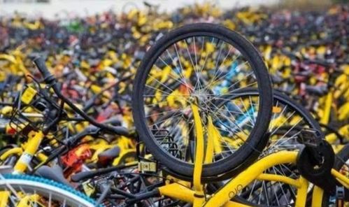 强制执行 ofo不退押金,北京交通委介入