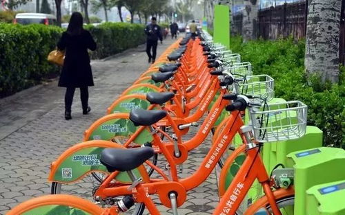 好消息 聊城公共自行车可实现 过夜还车 ,还免费