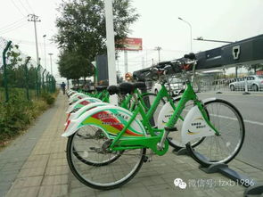 通州公共自行车卡丢了 车丢了怎么办 来看这里