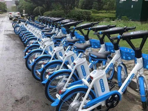如皋共享电单车的 鼻祖 公共自行车,使用率几乎为零,或将被市场淘汰