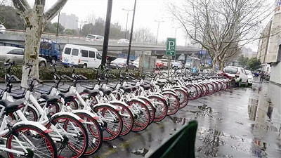 此车非彼车 共享单车占了公共自行车的“窝”-早知道-杭州19楼