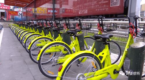 公共自行车租用系统要升级了 手机扫码支付就能用